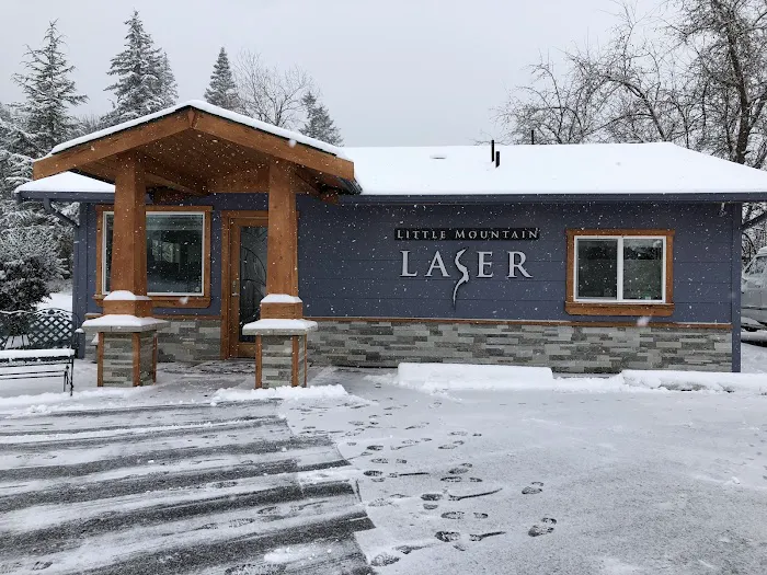 Little Mountain Laser LLC Picture 1