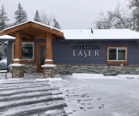 Little Mountain Laser LLC