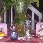 Shannon's Empowering Skincare