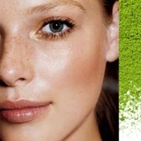 PNW Master Aesthetics ico