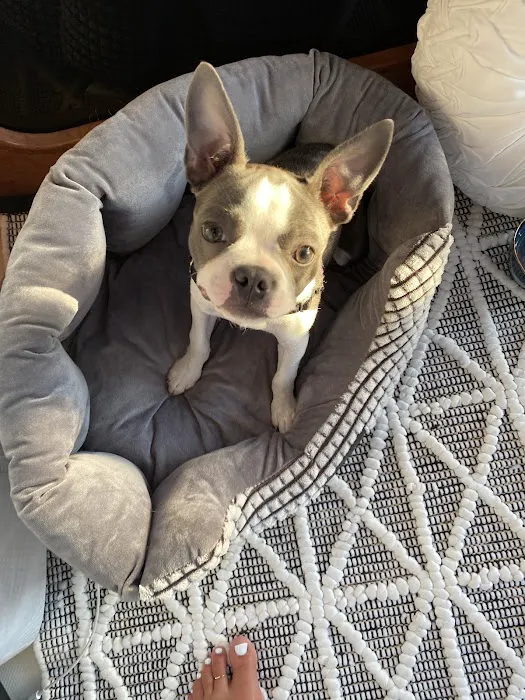 Herbology Skincare Picture 8