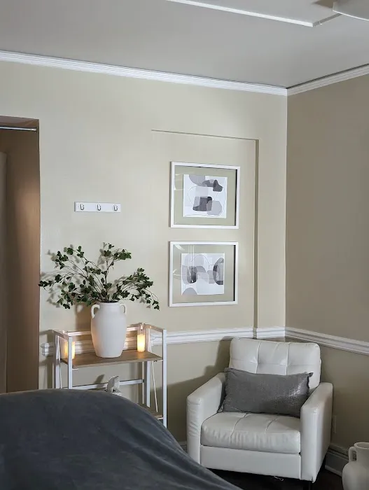 Bentley Skin Studio Picture 2