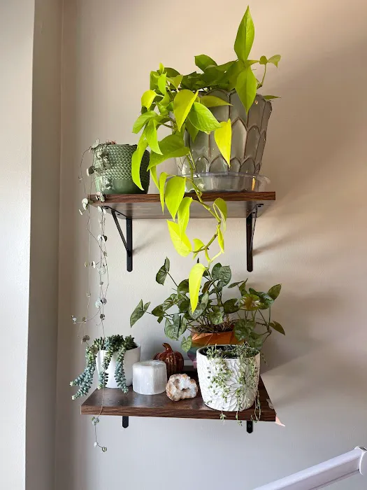 Sova Skin Solutions Picture 4