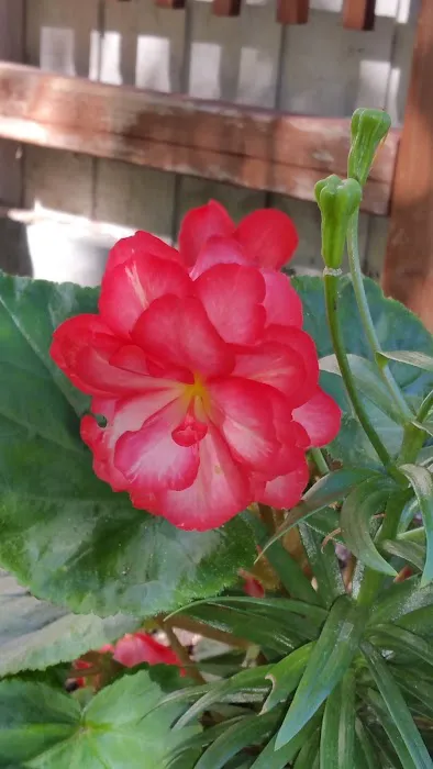 A Beautiful Face and Skin Care LLC Picture 3