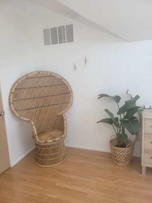 Ocean Esthetics Picture 6