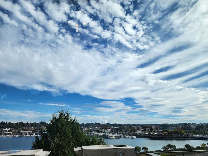 Dermatology & Allergy Specialists of Olympia Picture 1