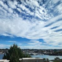 Dermatology & Allergy Specialists of Olympia ico