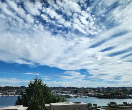 Dermatology & Allergy Specialists of Olympia