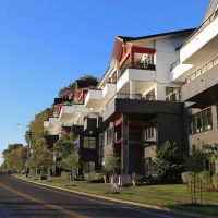 Bloom Beauty CO. ico