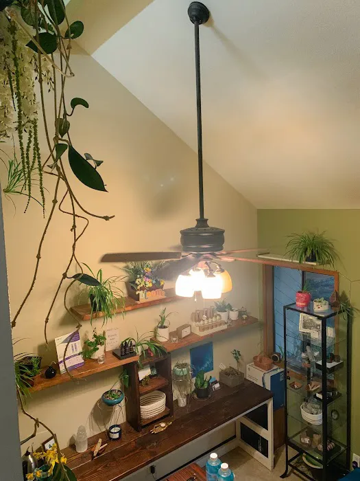 Bloom (Bloom Olympia) Picture 6