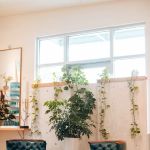 Spruce Skin & Wax Shoppe