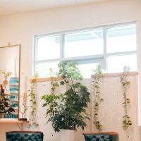 Spruce Skin & Wax Shoppe ico