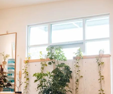 Spruce Skin & Wax Shoppe