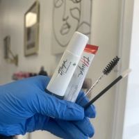 Elements of Esthetics ico