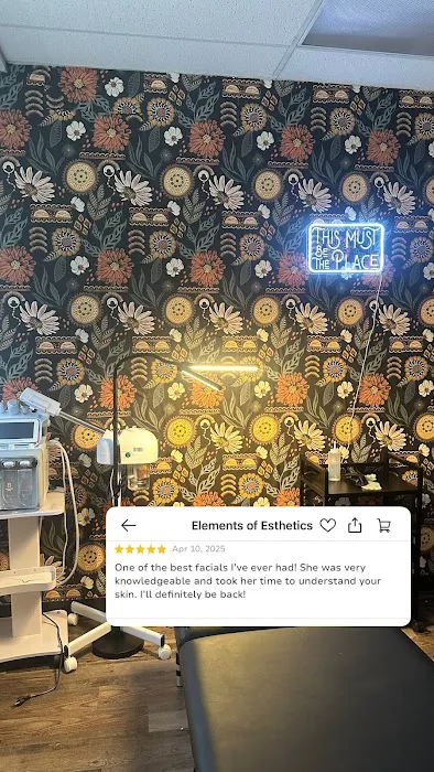 Elements of Esthetics Picture 5