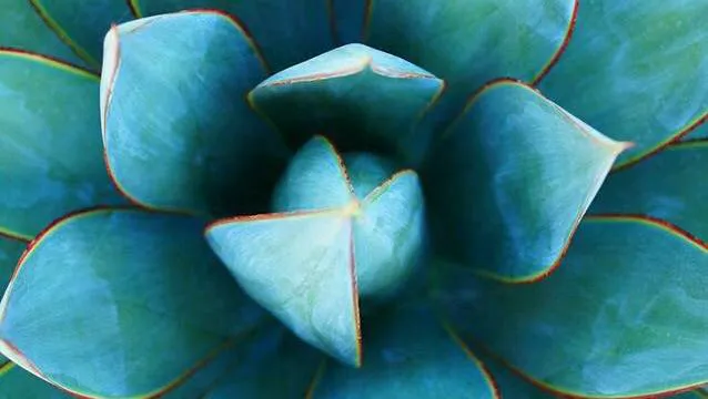 Zabavimse' Skincare Picture 1