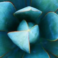 Zabavimse' Skincare ico