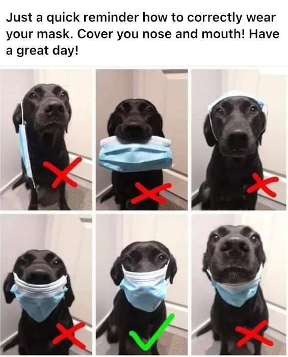 Zabavimse' Skincare Picture 4