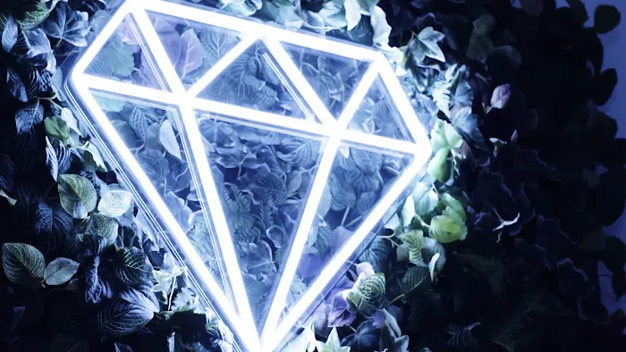 Jewel Skin Studio LLC Picture 6