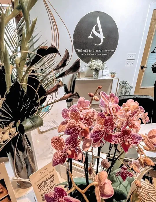 The Aesthetics Society Picture 4