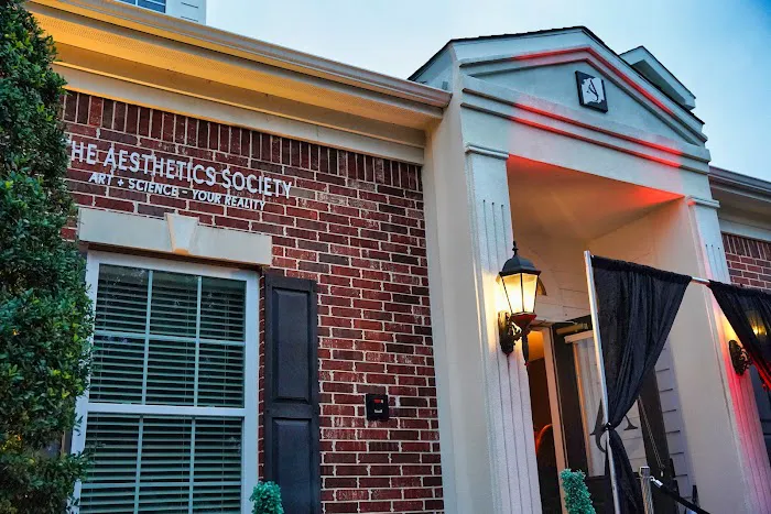 The Aesthetics Society Picture 10