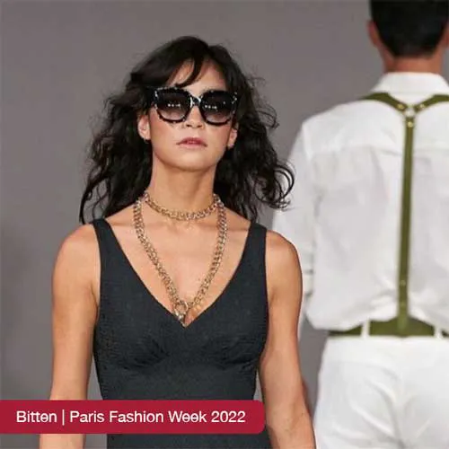 Bully Blocker Picture 9