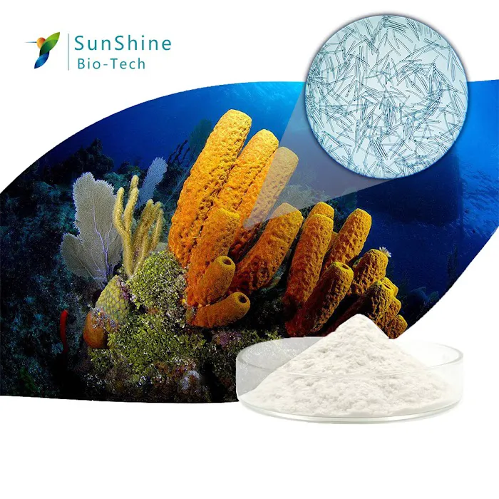 Fresh Faces & Body Skincare Picture 6