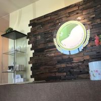 Skin Nature esthetic skin care ico