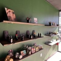 SKIN+BEAUTY House Organic Skin Spa ico