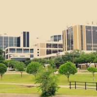 The Beloved Medicine Aesthetics ico