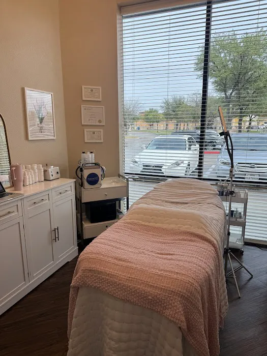 Modern Skin Pro Picture 3