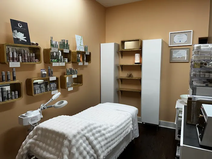 Anna Emmons Studio + Design + Aesthetics Picture 1