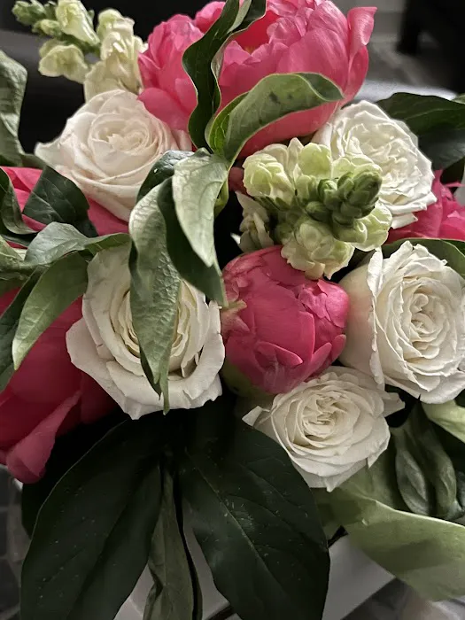 Teen Acne Plano Picture 1