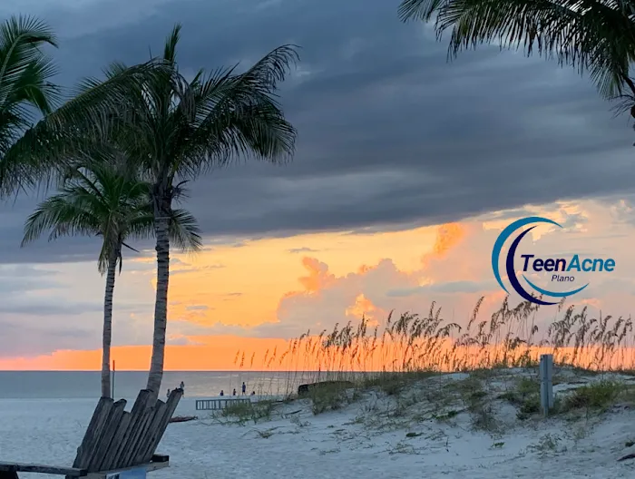 Teen Acne Plano Picture 4