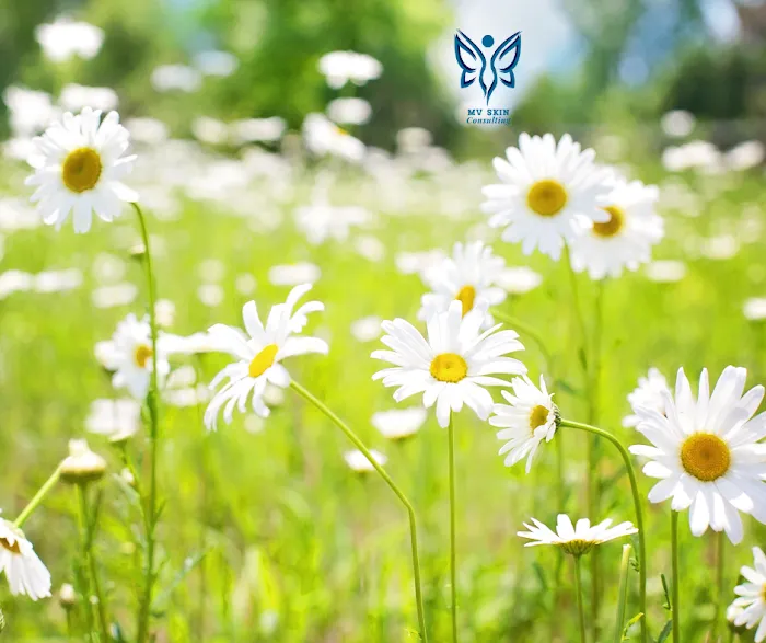 Teen Acne Plano Picture 7