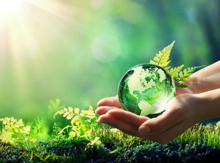 Teen Acne Plano Picture 6