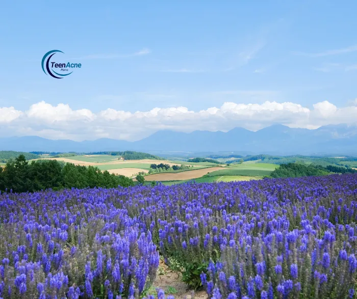 Teen Acne Plano Picture 10