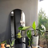 Modern Skin Lab - Dallas Facials | Microneedling | Certified Acne Expert ico