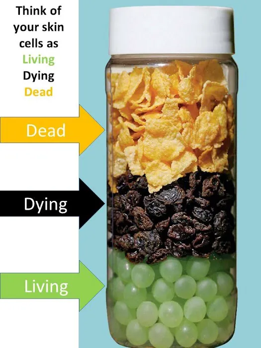 LED Skin Care Center Picture 9