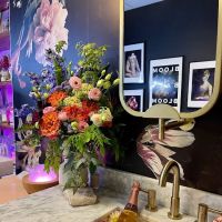 Velvet Bloom Skin Studio ico