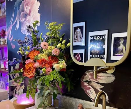 Velvet Bloom Skin Studio