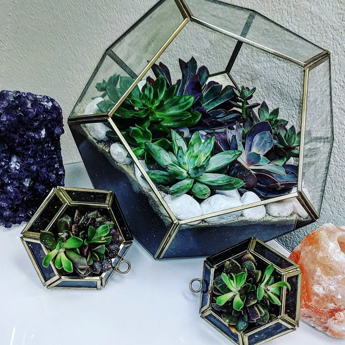 Skin Slayer Picture 10