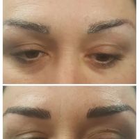 Velvet Touch Permanent Cosmetic and Skin Care LLC ico