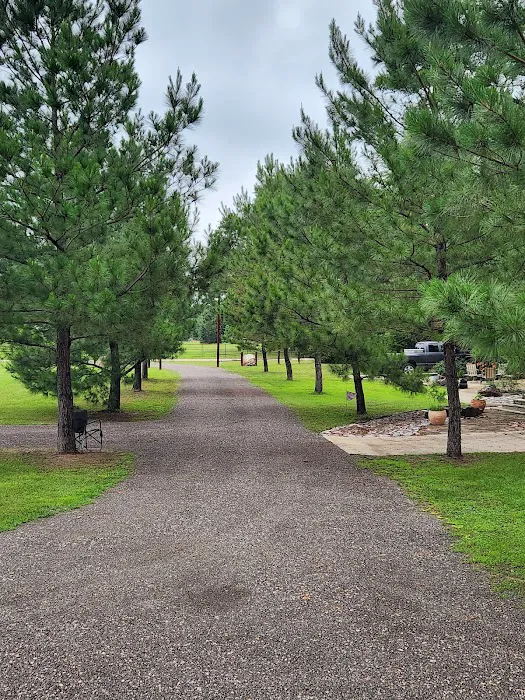 The Peacock Palace Picture 5