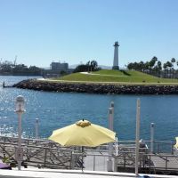 Renew Body & Skin Centre ico