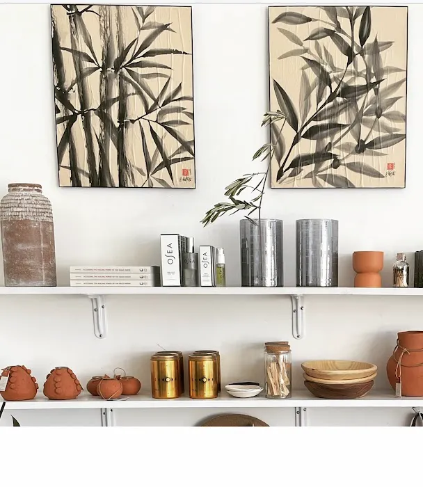 Susan Hammond Skin Care Picture 6