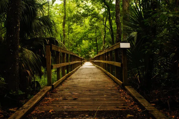 A Silent Moment Spa Picture 9