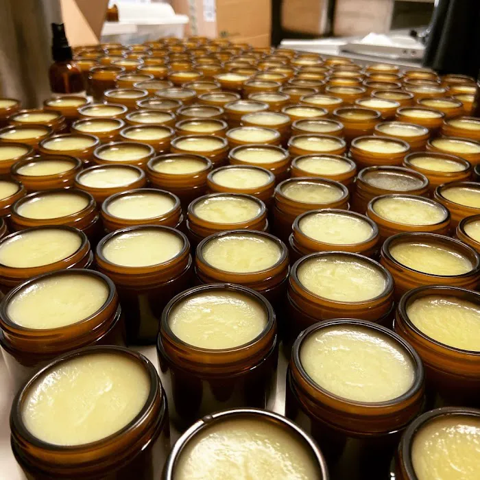 Code of Harmony Picture 8