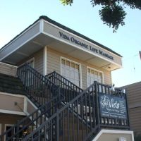 Skincare & Wellness with Vida ico