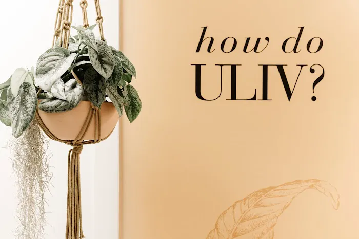 Uliv Skincare Studio Picture 4
